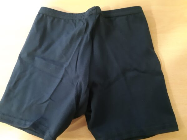 Shorts for using under skirts